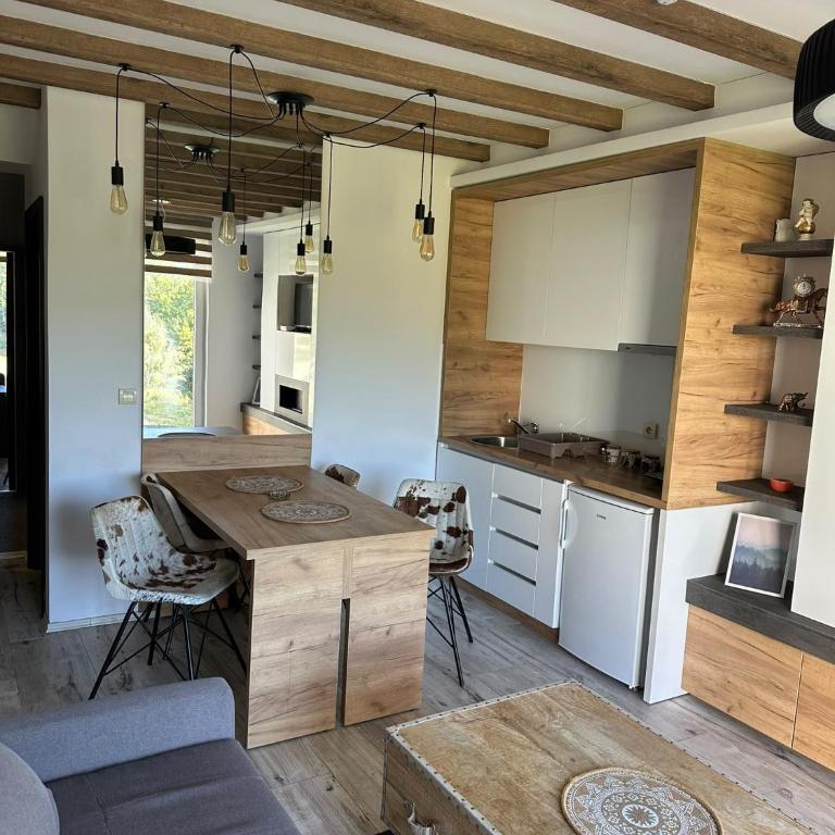 Aber apartman 13 - Kraljevi Čardaci - Apartman sa 1 Spavaćom Sobom - 11