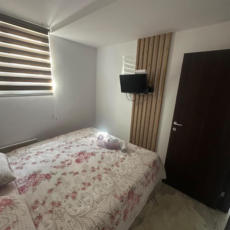 Aber apartman 13 - Kraljevi Čardaci - Apartman sa 1 Spavaćom Sobom - 13