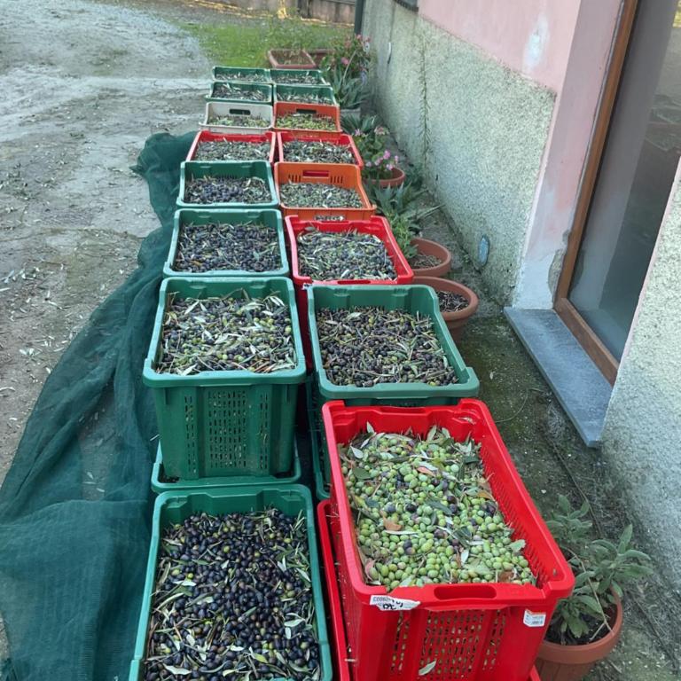Tenuta Fagnani - Casa a Schiera con 2 Camere da Letto - 76