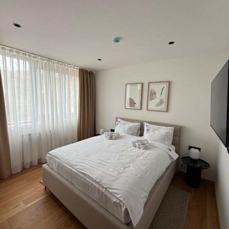 Apartment Infinity - Apartman sa 3 Spavaće Sobe - 15