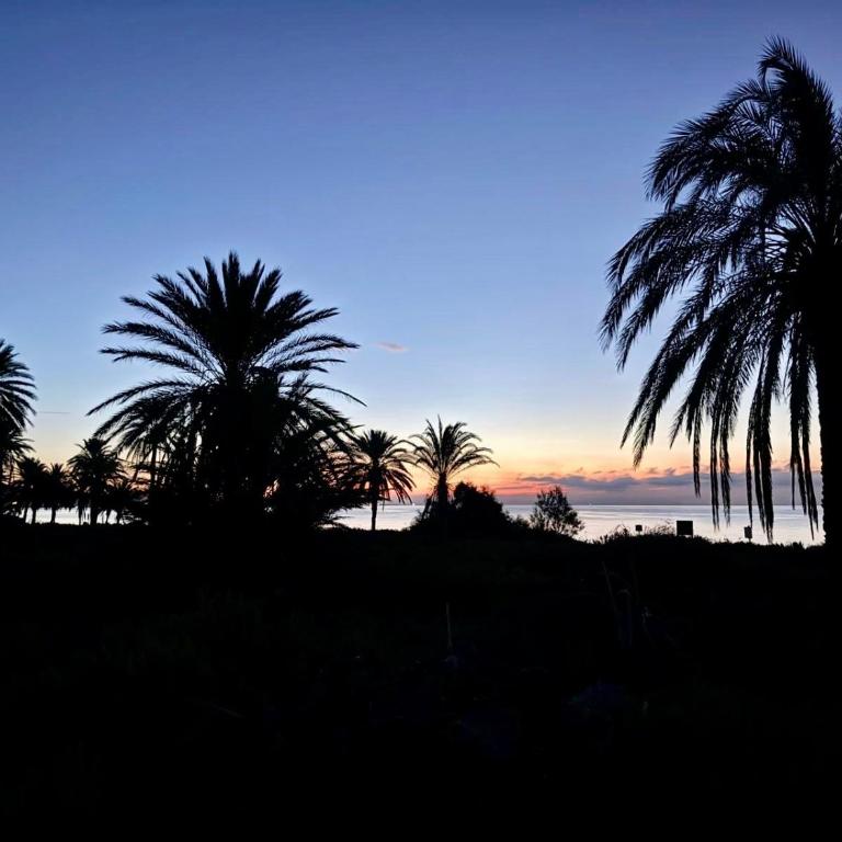 Chalet El Oasis - Villa unter Palmen 2 Min zum Strand - Casa Deluxe con 4 Camere da Letto - Fronte Oceano - 69