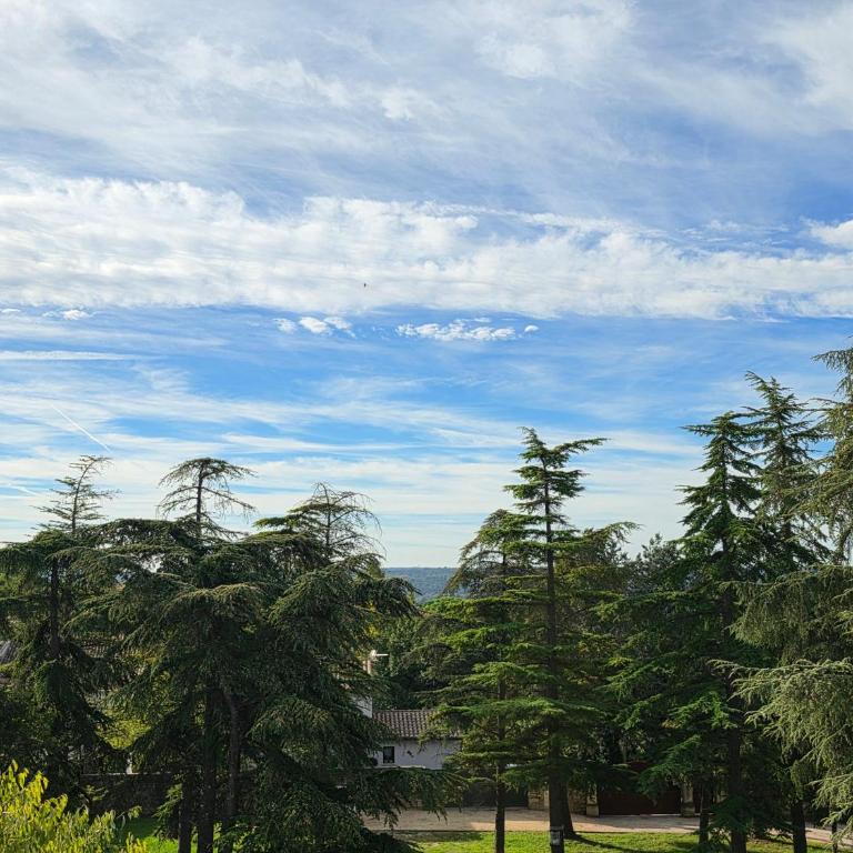 La Cime des Cèdres - Appartement 1 Chambre - 27