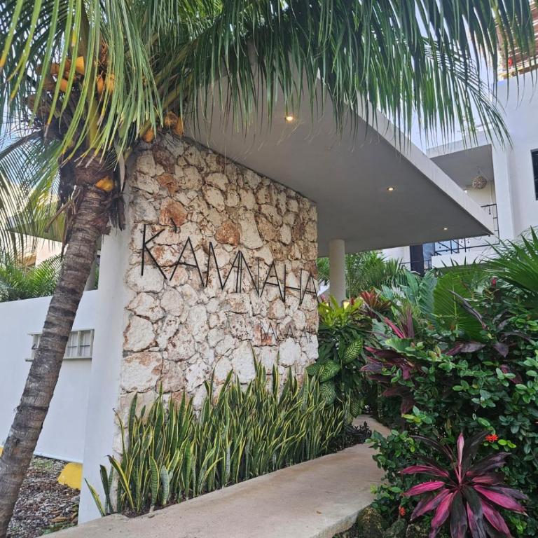 Kam Na Ha 202 - Elegant 1-Bedroom Retreat with Rooftop Oasis and Pool - Apartamento de 1 dormitorio - 16