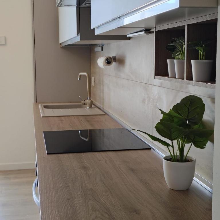 Rome Aurelia Apartment - Appartamento con 1 Camera da Letto - 7