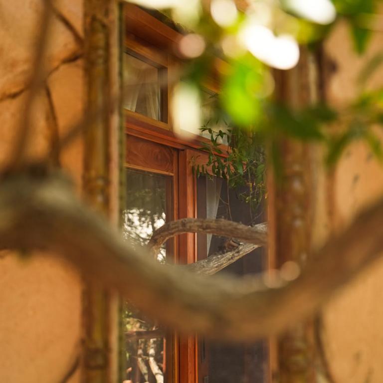 Suites Holbox - Suite mit Terrasse - 3