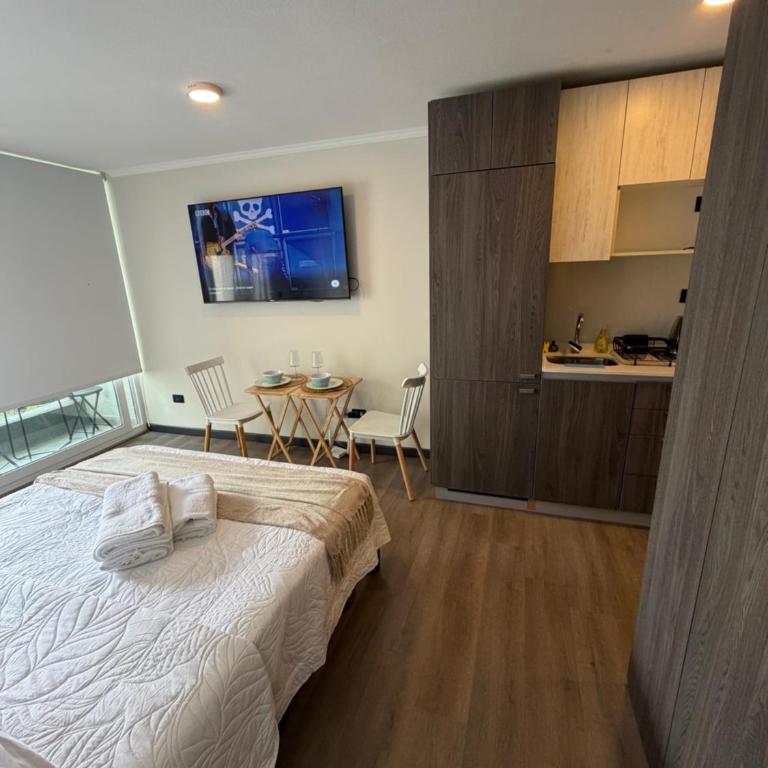 Lindo estudio en Santiago centro - One-Bedroom Apartment - 8