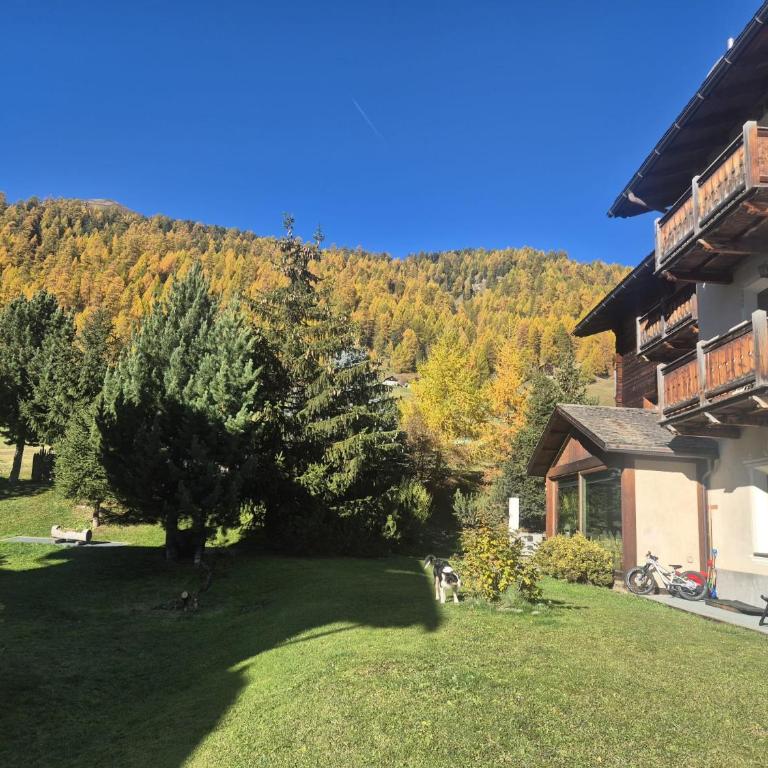 Appartamenti Bait da Erich - Appartamento con Balcone - 27