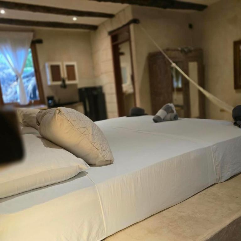 Suites Holbox - Superior Suite - 15