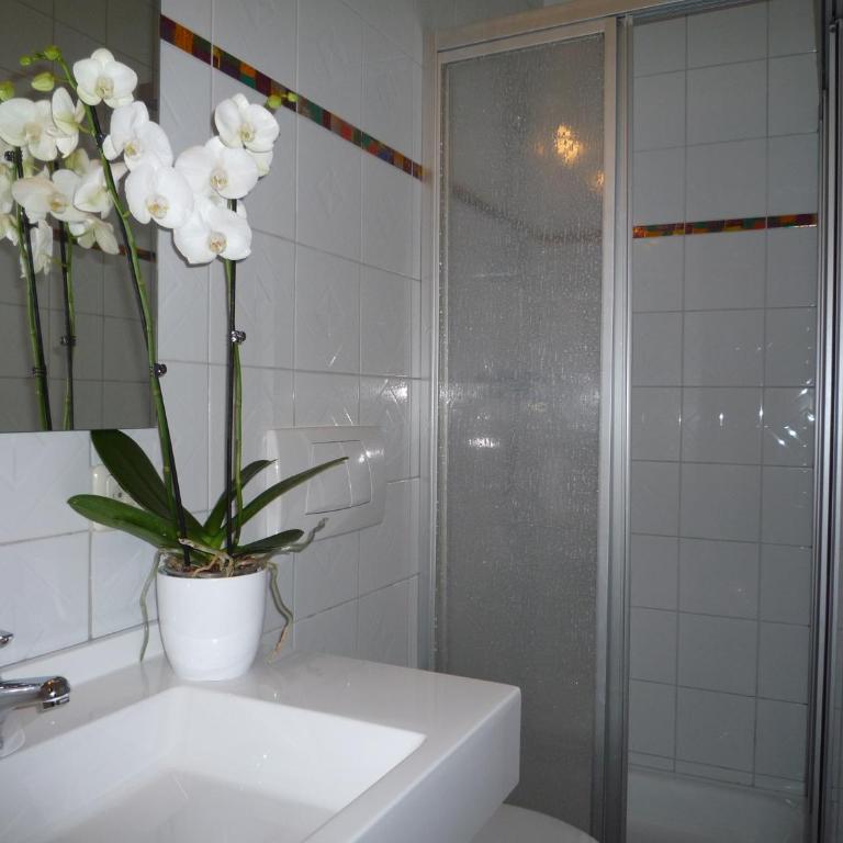 Appartement Bergkristall - Studio - 1