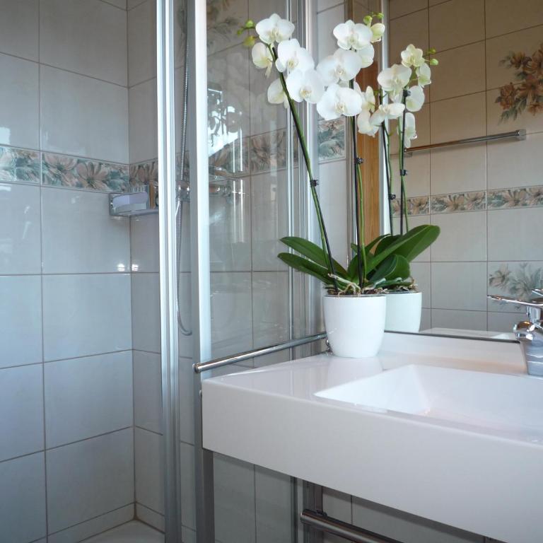 Appartement Bergkristall - Studio mit Balkon - 1
