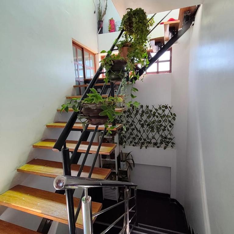Apartamento Vista Panoramica Ayacucho - Habitación Cuádruple con terraza - 57