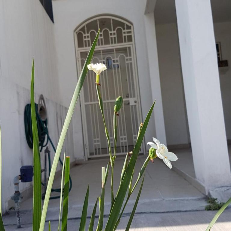 Monterrey Home close to Fundidora Park - Casa - 4