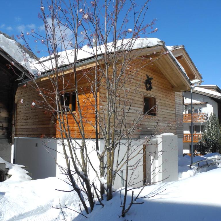 Adlerhorst - Ferienhaus - 2