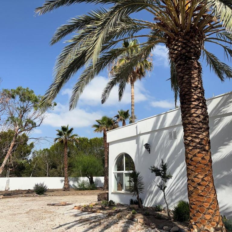 Chalet El Oasis - Villa unter Palmen 2 Min zum Strand - Casa Deluxe con 4 Camere da Letto - Fronte Oceano - 32
