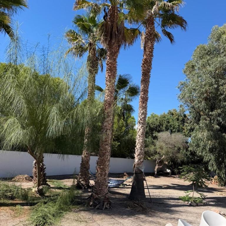Chalet El Oasis - Villa unter Palmen 2 Min zum Strand - Casa Deluxe con 4 Camere da Letto - Fronte Oceano - 29