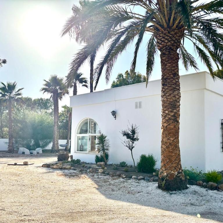 Chalet El Oasis - Villa unter Palmen 2 Min zum Strand - Casa Deluxe con 4 Camere da Letto - Fronte Oceano - 26