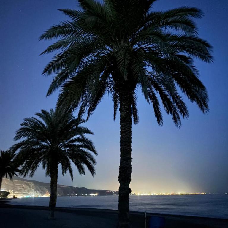 Chalet El Oasis - Villa unter Palmen 2 Min zum Strand - Casa Deluxe con 4 Camere da Letto - Fronte Oceano - 18