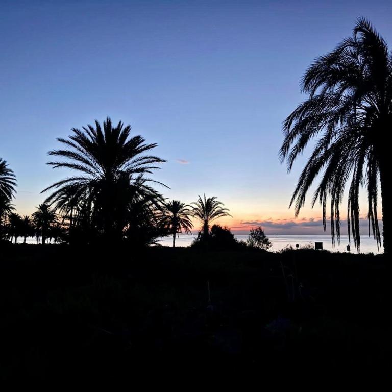 Chalet El Oasis - Villa unter Palmen 2 Min zum Strand - Casa Deluxe con 4 Camere da Letto - Fronte Oceano - 7
