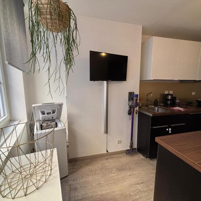 L'Écrin de la Fontaine 5 guests Metz Center - Appartement 2 Chambres - 24