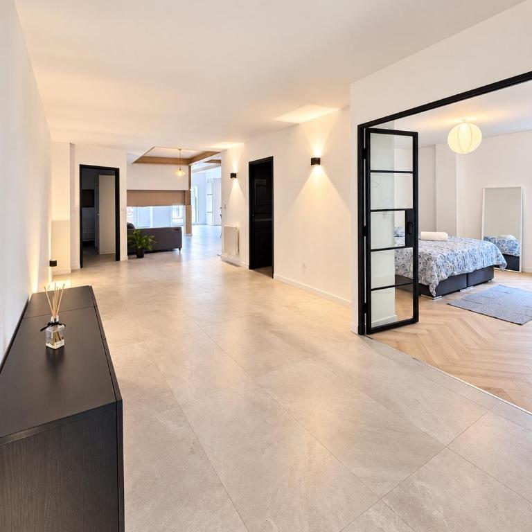 Nouveauté Loft de 155 m2 au cœur de Mulhouse - Apartment mit 3 Schlafzimmern - 7
