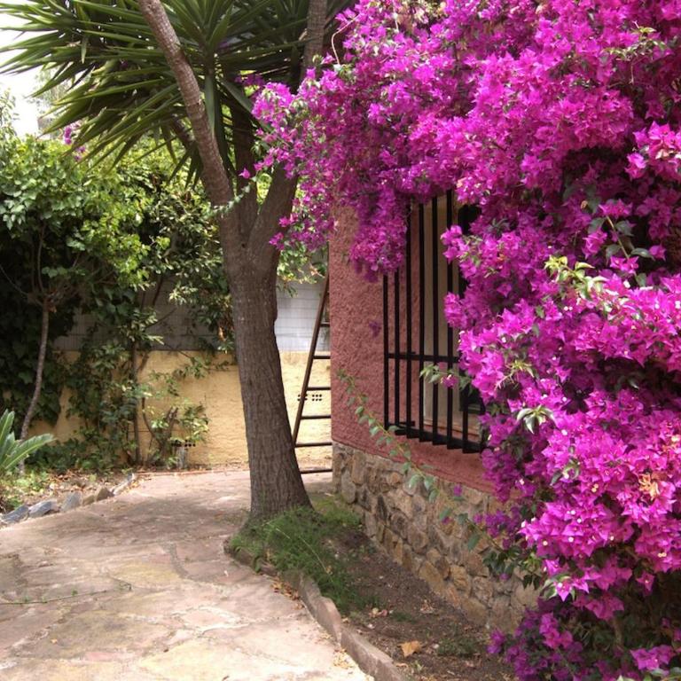 Casa Faura - Casa de 3 dormitorios - 7