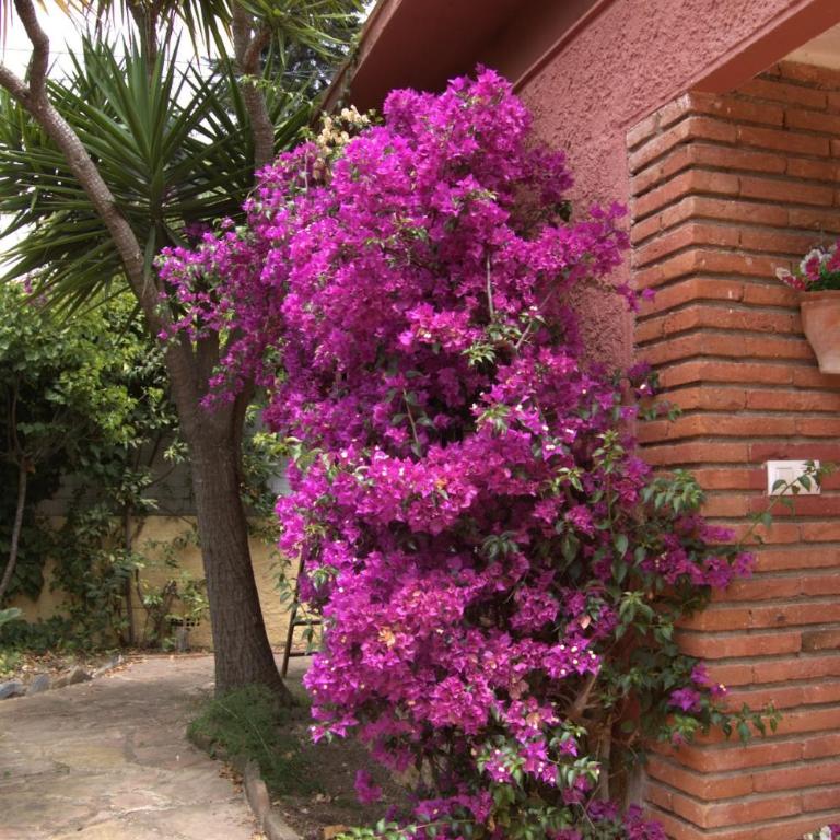 Casa Faura - Casa de 3 dormitorios - 17