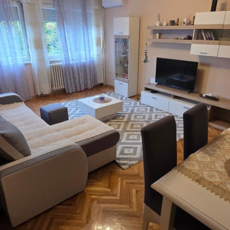 Sunny Belgrade - Two-Bedroom Apartment - 1