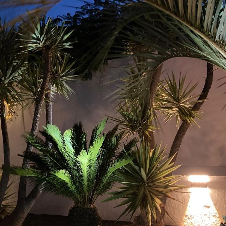 "Our Soleada" Villa cosy and flowery, heated pool - Villa - 2