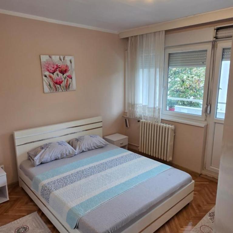 Sunny Belgrade - Two-Bedroom Apartment - 9