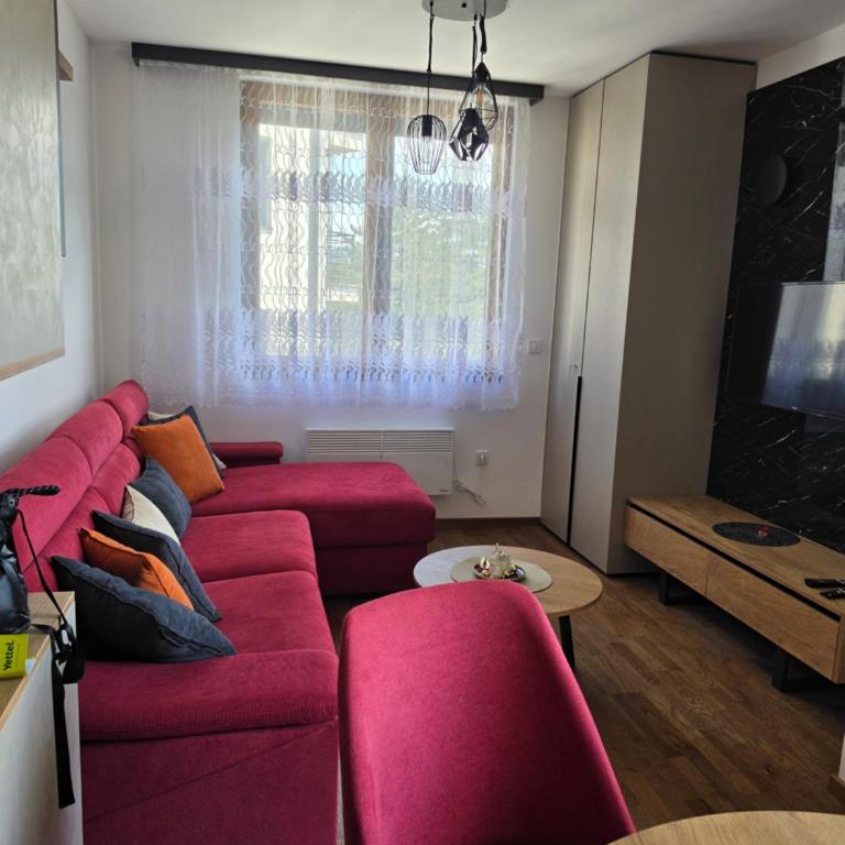 Apartman Bogatinović - One-Bedroom Apartment - 3