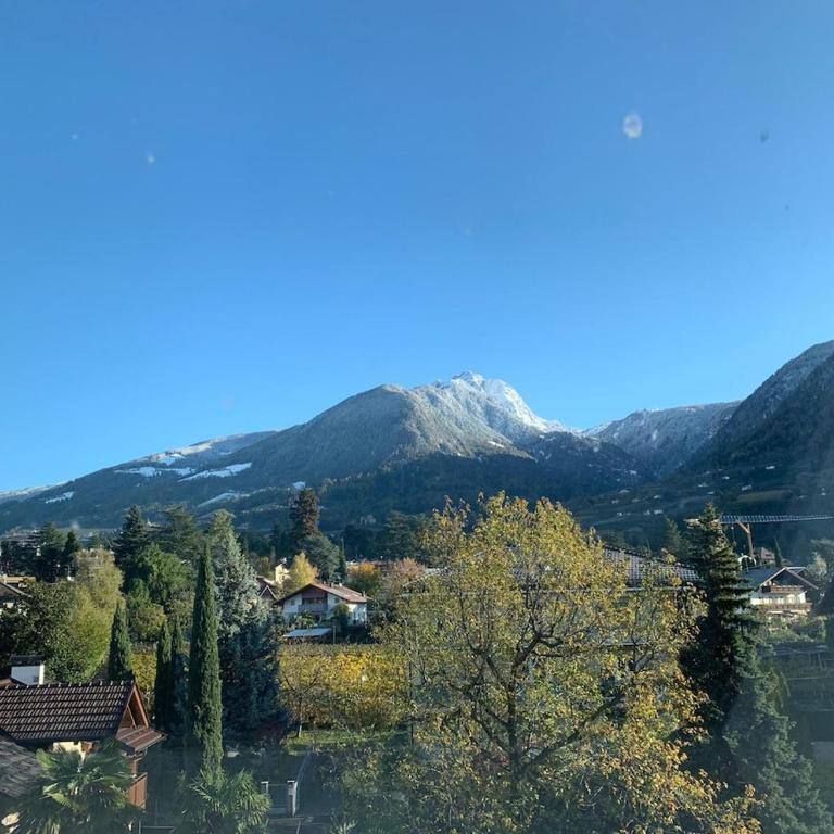Laurelia Suites - Appartamento con 1 Camera da Letto, Balcone e Vista Montagna - 2