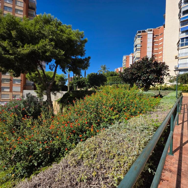 Apartamento Club Medico II Beach IF Benidorm - Two-Bedroom Apartment - 38