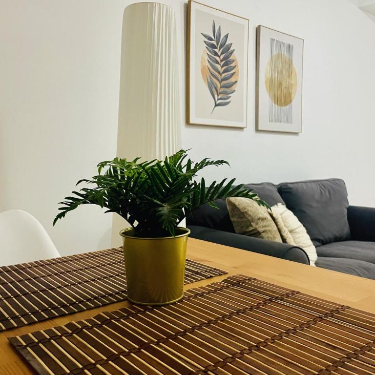 Torre 26 - Apartamento - 2