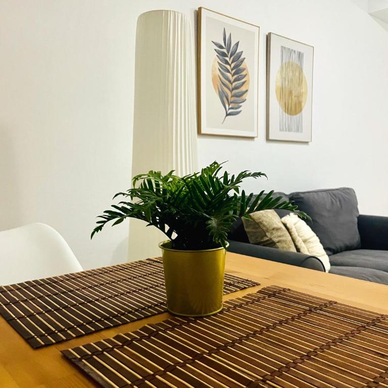 Torre 26 - Apartamento - 8