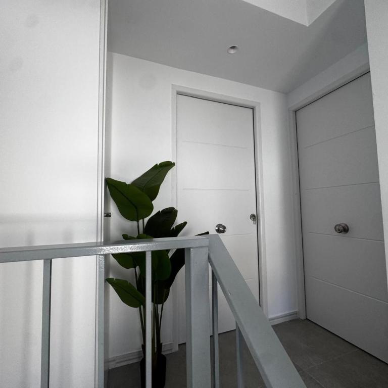 Luxury Rooms Palmar y Barrosa - Chambre Double Deluxe avec Douche - 9