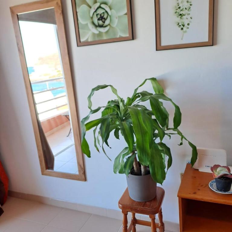 Winter Remote Work Base Monthly Stays - Two-Bedroom Apartment - 4