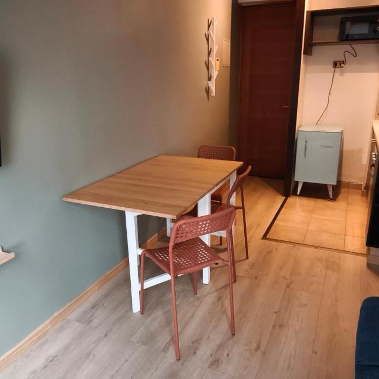 Apartment in downtown Santiago - Apartamento de 1 dormitorio - 3