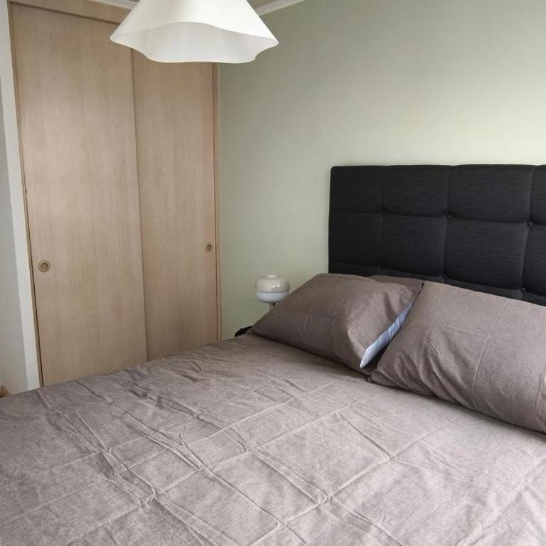 Apartment in downtown Santiago - Apartamento de 1 dormitorio - 5