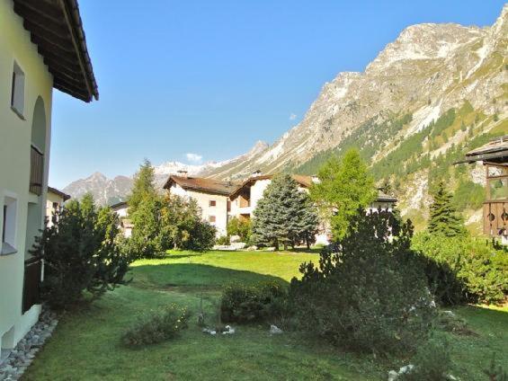 Polaschin E12 - Appartamento con Vista Montagna - 21