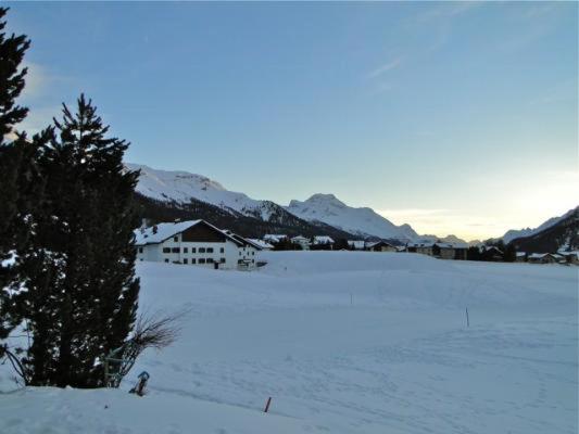 Luorza 101 - Apartment mit Blick auf die Berge - 24