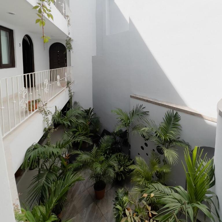 Casa Galeria 02 - One-Bedroom Apartment - 5