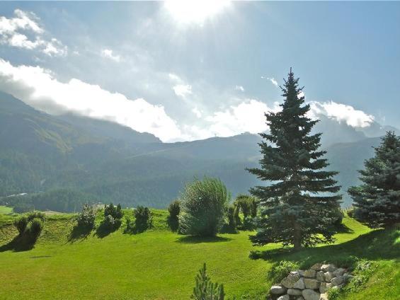 Romana 1 - Apartment mit Blick auf die Berge - 16