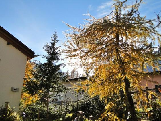 Sur Staziun 10 - Apartment mit Blick auf die Berge - 40