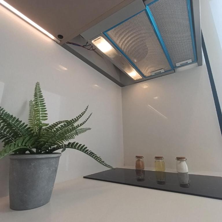 Casa Ugarte - Apartamento de 1 dormitorio - 5