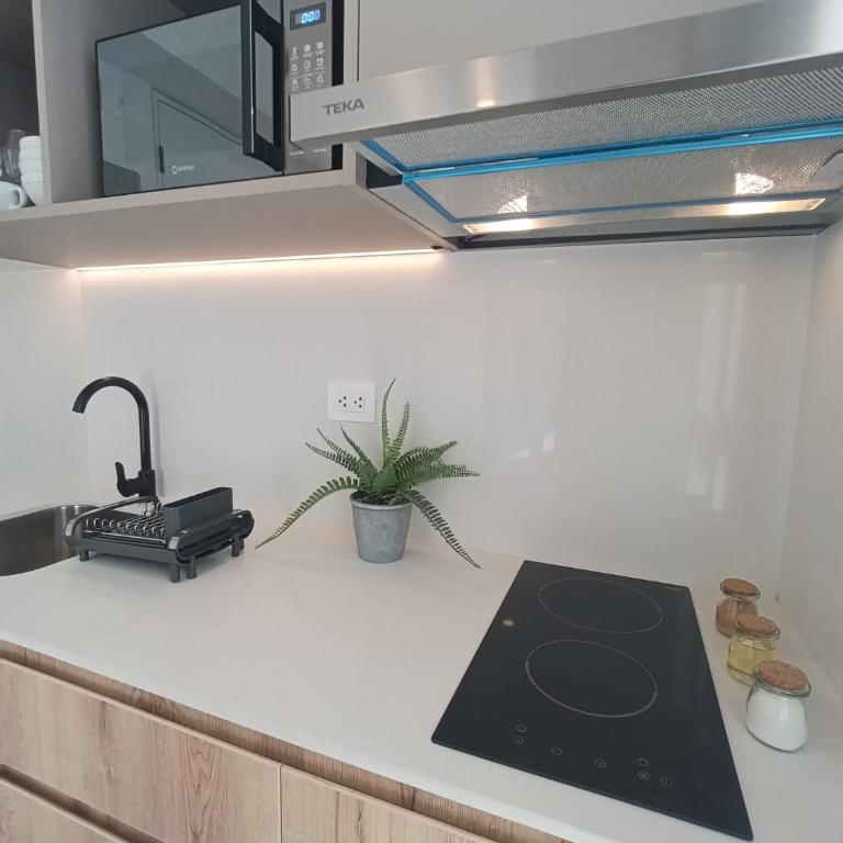 Casa Ugarte - Apartamento de 1 dormitorio - 35