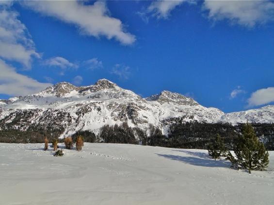 Prüveda A0.3 - Apartment mit Blick auf die Berge - 21