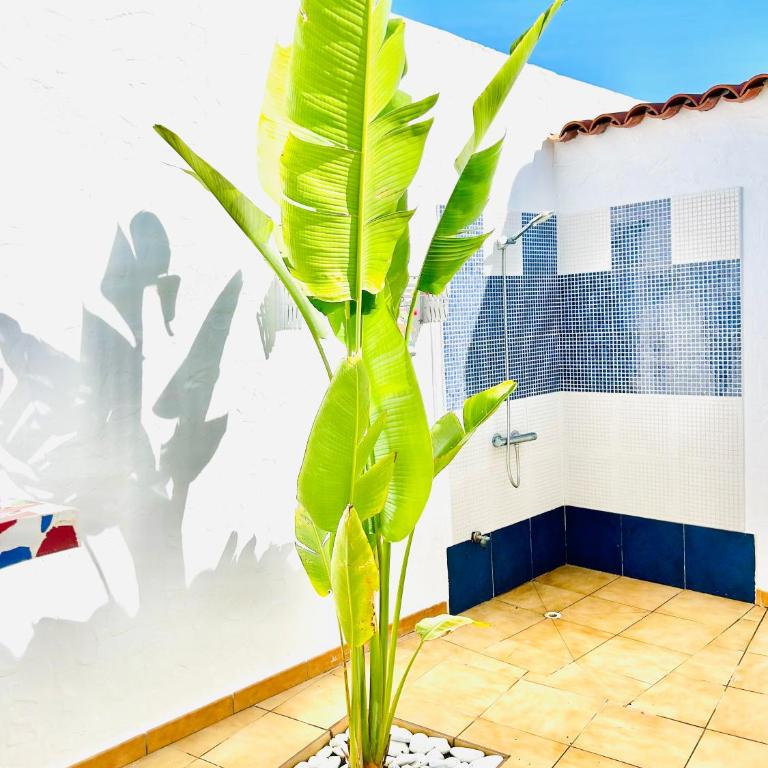 Oasis Beach Home I with private jacuzzi - Casa de 3 dormitorios - 24