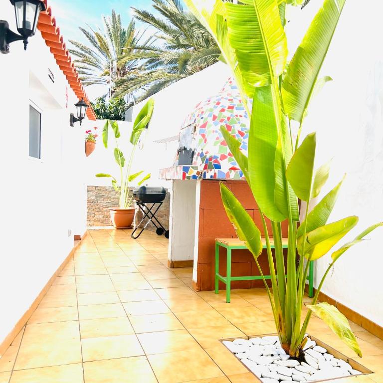 Oasis Beach Home I with private jacuzzi - Casa de 3 dormitorios - 25