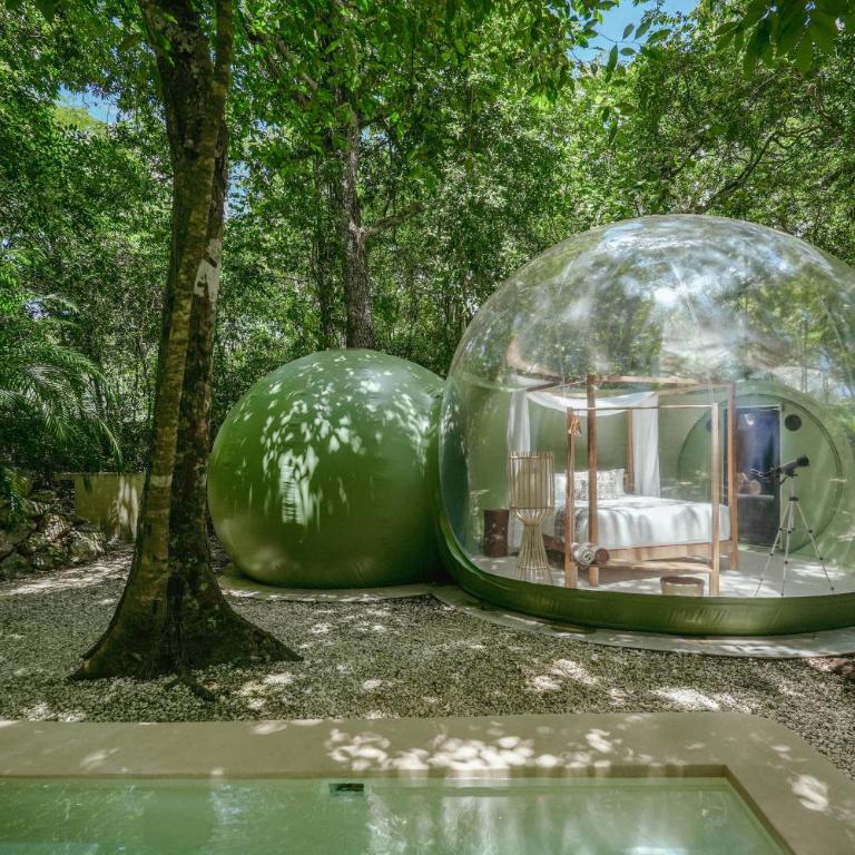 Óom Bubble Boutique Glamping by RUHA - Habitación Doble con patio - 7