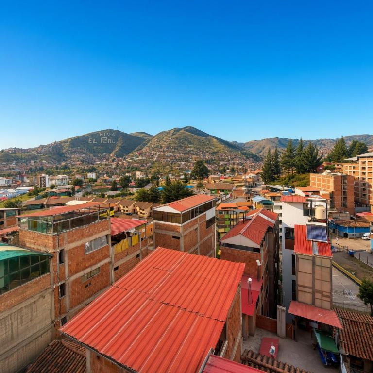 Peter's Loft Cusco - Apartment - 4